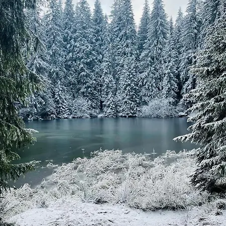 Jasna Centrum F - Free Jacuzzi & Sauna And Chopok View * Demanovska Dolina